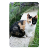 Magnet Flexible Opera Phantom Chat (Vertical)