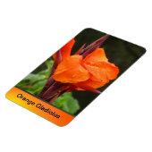 Magnet Flexible Orange Canna Flower (Côté Gauche)