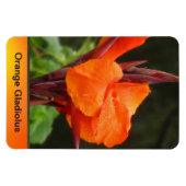 Magnet Flexible Orange Canna Flower (Horizontal)