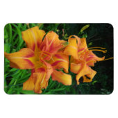 Magnet Flexible Orange Daylily Blooms (Horizontal)