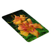 Magnet Flexible Orange Daylily Blooms (Côté Droit)