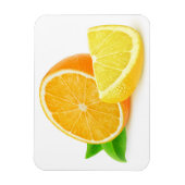 Magnet Flexible Orange et citron (Vertical)