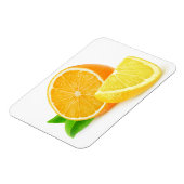 Magnet Flexible Orange et citron (Côté Gauche)