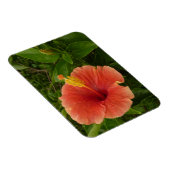 Magnet Flexible Orange Hibiscus Fleur Tropical Floral (Côté Droit)