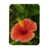 Magnet Flexible Orange Hibiscus Fleur Tropical Floral (Vertical)