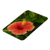 Magnet Flexible Orange Hibiscus Fleur Tropical Floral (Côté Gauche)