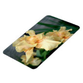 Magnet Flexible Orange Irises dans un jardin d'été (Côté Gauche)