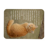 Magnet Flexible Orange Kitten Photo Avec Poème (Horizontal)