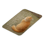 Magnet Flexible Orange Kitten Photo Avec Poème (Côté Gauche)