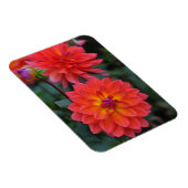 Magnet Flexible Orange, Rouge, Fleur Dahlia Jaune (Côté Droit)