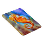 Magnet Flexible Orange Seahorse délice (Côté Droit)