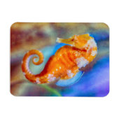 Magnet Flexible Orange Seahorse délice (Horizontal)