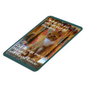 Magnet Flexible Orange Tabby Cat espère être adopté (Côté Gauche)