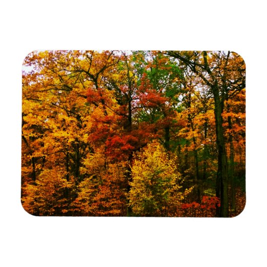 Magnet Flexible Oranges d'automne (Horizontal)