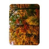 Magnet Flexible Oranges d'automne (Vertical)