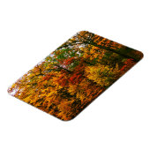 Magnet Flexible Oranges d'automne (Côté Gauche)