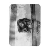 Magnet Flexible Orangoutan (Vertical)