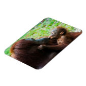 Magnet Flexible Orangutan mother et baby (Côté Gauche)