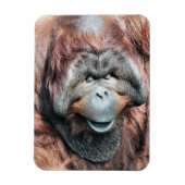 MAGNET FLEXIBLE ORANGUTANS (Vertical)