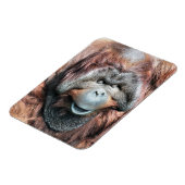 MAGNET FLEXIBLE ORANGUTANS (Côté Gauche)