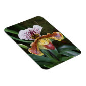 Magnet Flexible Orchid (Côté Droit)