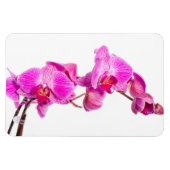 Magnet Flexible Orchidée (Horizontal)