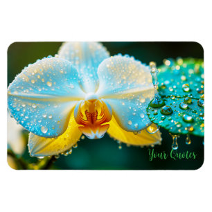 Magnet Flexible Orchidée Blanche Élégante avec Gouttelettes d'Eau