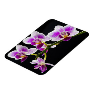 Magnet Flexible Orchidée blanche et violette