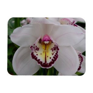 Magnet Flexible Orchidée blanche II Élégante florale