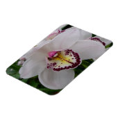 Magnet Flexible Orchidée blanche II Élégante florale (Côté Gauche)