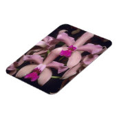 Magnet Flexible Orchidée (Cattleya amethystoglossa), Est (Côté Gauche)