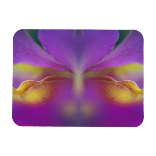 Magnet Flexible Orchidée hybride, Floride 2 (Horizontal)
