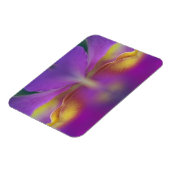 Magnet Flexible Orchidée hybride, Floride 2 (Côté Gauche)