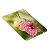 Magnet Flexible Orchidée tachetée rose (Côté Droit)