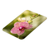 Magnet Flexible Orchidée tachetée rose (Côté Gauche)