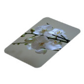 Magnet Flexible Orchidées blanches (Côté Gauche)