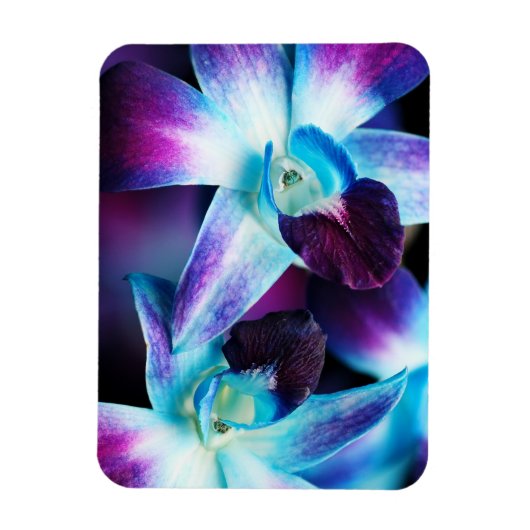 Magnet Flexible Orchidées Customisées à l'orchidée pourpre et bleu (Vertical)