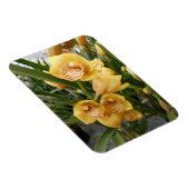 Magnet Flexible Orchidées de Cymbidium Jaune (Côté Droit)