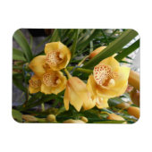 Magnet Flexible Orchidées de Cymbidium Jaune (Horizontal)