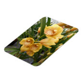 Magnet Flexible Orchidées de Cymbidium Jaune (Côté Gauche)