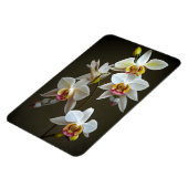 Magnet Flexible Orchidées Dendroium (Côté Gauche)