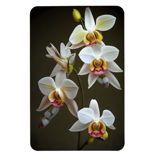 Magnet Flexible Orchidées Dendroium (Vertical)