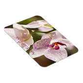 Magnet Flexible Orchidées par Shirley Taylor (Côté Droit)