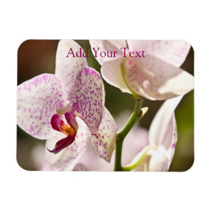 Magnet Flexible Orchidées par Shirley Taylor