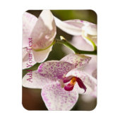 Magnet Flexible Orchidées par Shirley Taylor (Vertical)