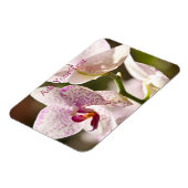 Magnet Flexible Orchidées par Shirley Taylor (Côté Gauche)