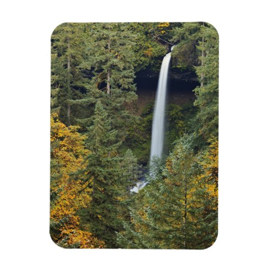 Magnet Flexible Oregon, parc d'État de Silver Falls, North Falls (Vertical)