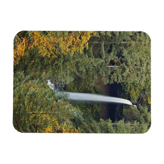 Magnet Flexible Oregon, Silver Falls State Park, North Falls (Horizontal)