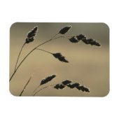 Magnet Flexible Oreille d'herbe humide (Horizontal)