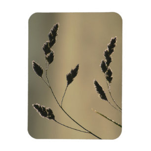 Magnet Flexible Oreille d'herbe humide